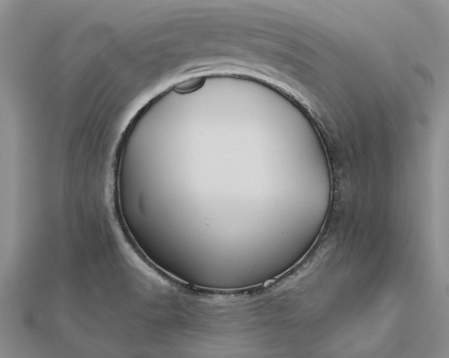 X0000112461518200908311318