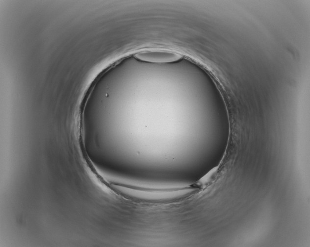 X0000112461519200908311318