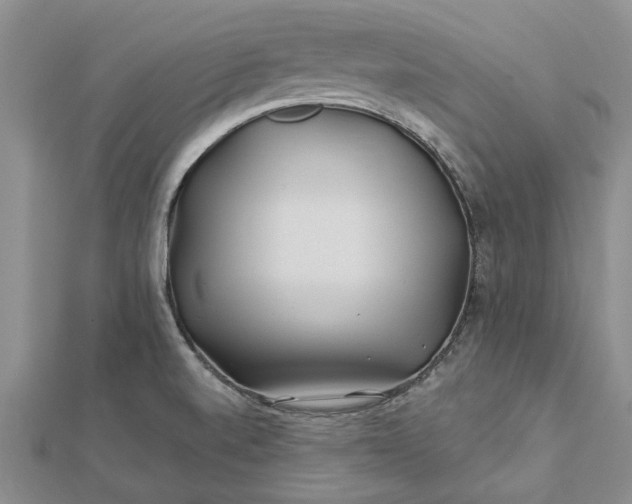 X0000112461520200908311318