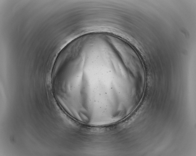 X0000112461521200908311318