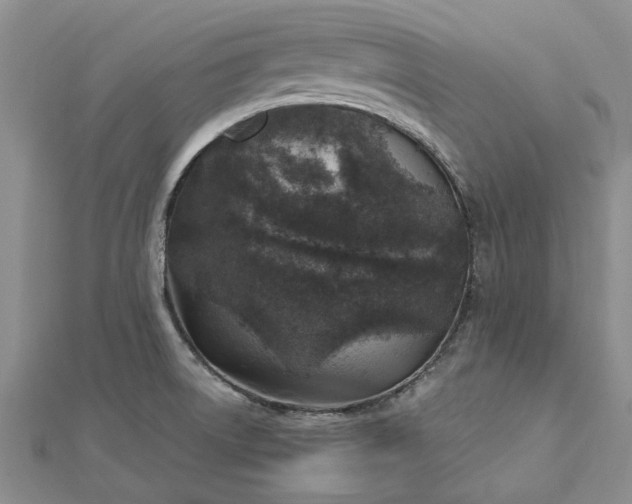 X0000112461522200908311318