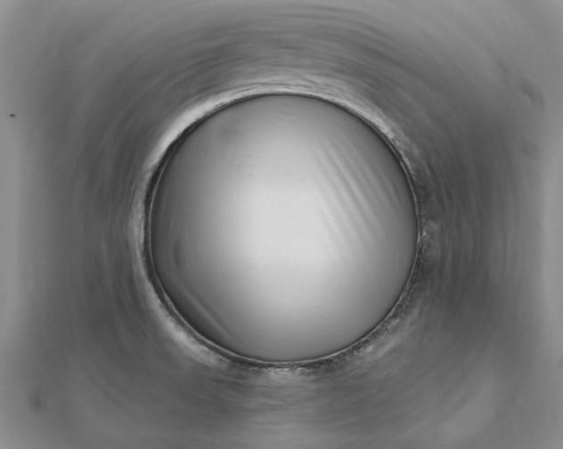 X0000112461523200908311319