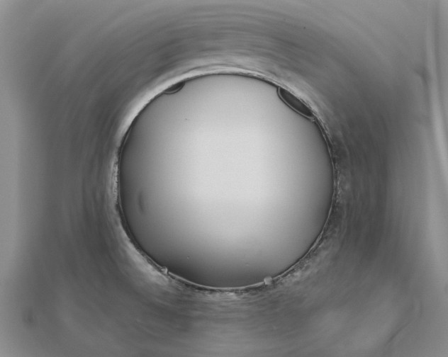 X0000112461524200908311319