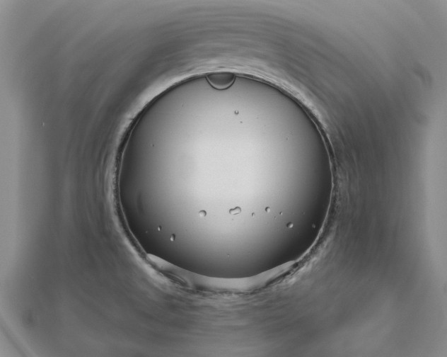 X0000112461525200908311319