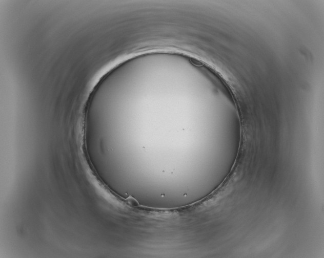 X0000112461526200908311319