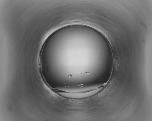 X0000112461527200908311319