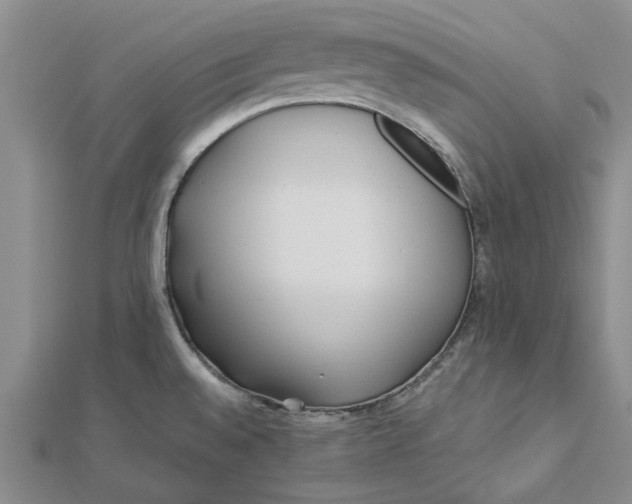 X0000112461528200908311319