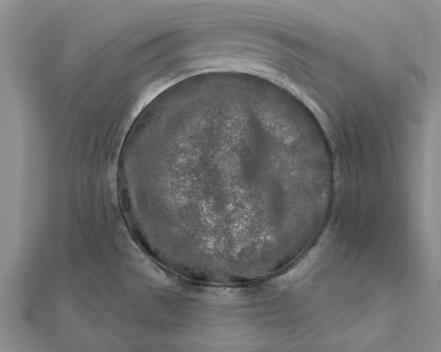 X0000112461529200908311319