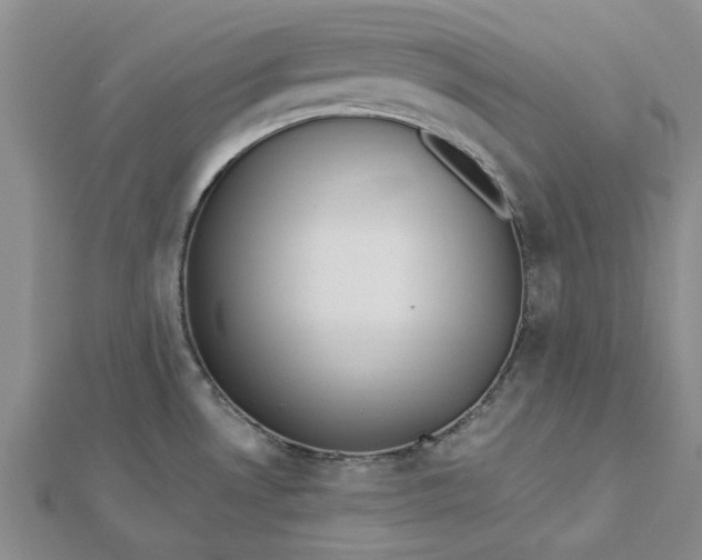 X0000112461530200908311319