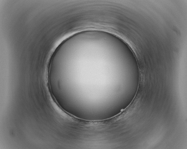 X0000112461531200908311319