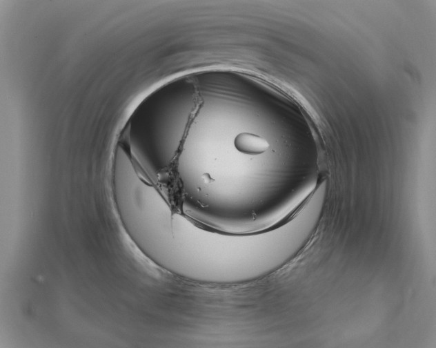 X0000112461532200908311319