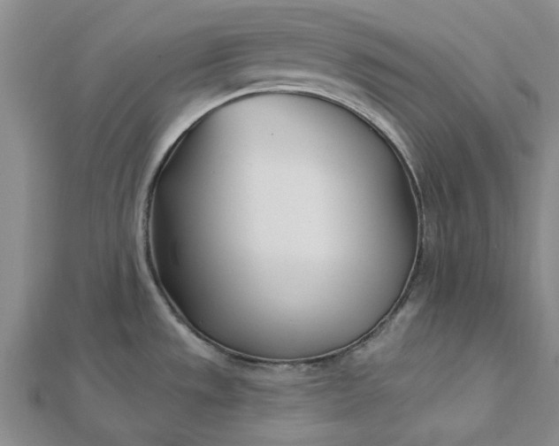 X0000112461533200908311319