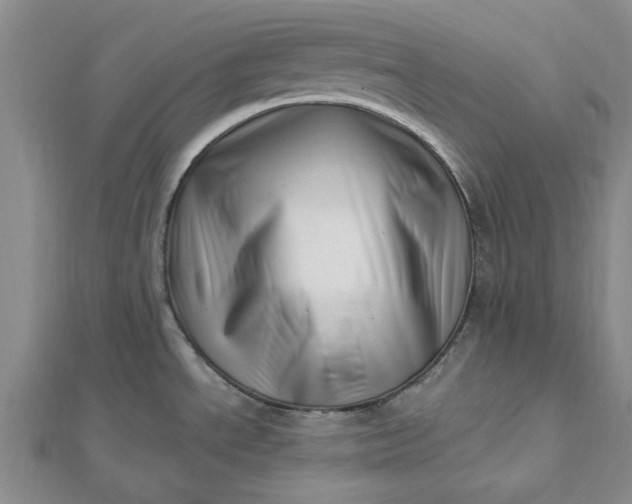 X0000112461534200908311319