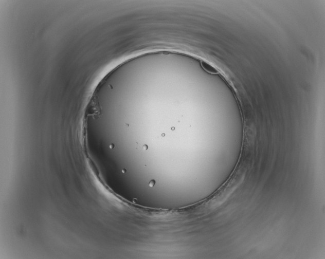 X0000112461535200908311319