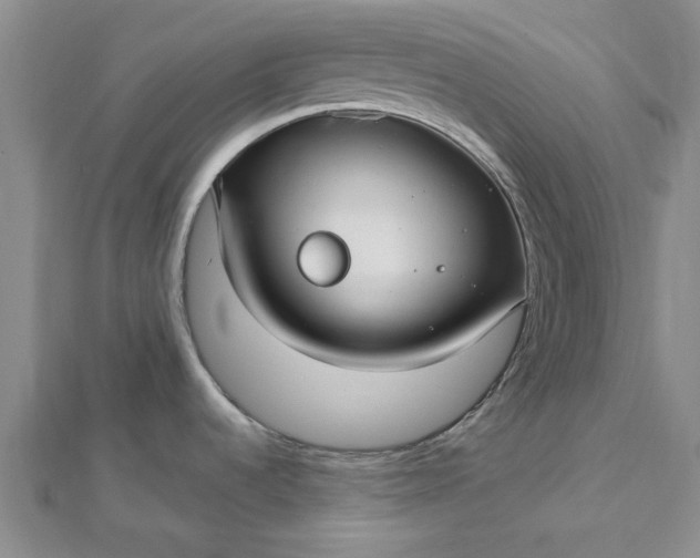 X0000112461536200908311319