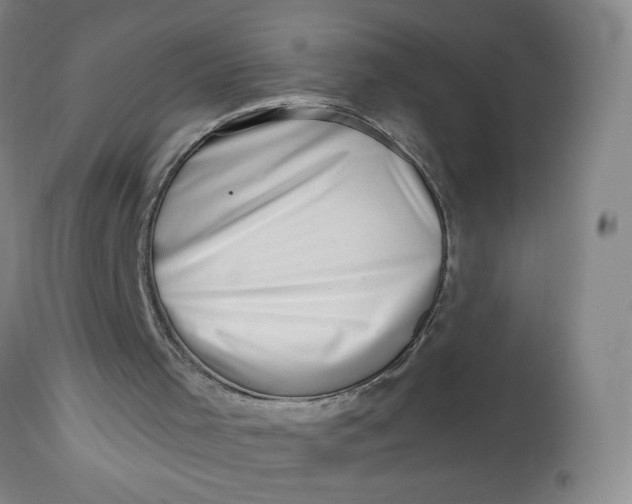 X0000112460001200909071121