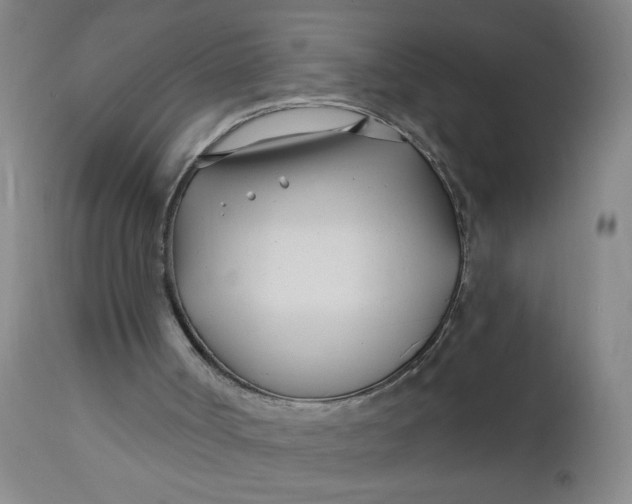 X0000112460002200909071121