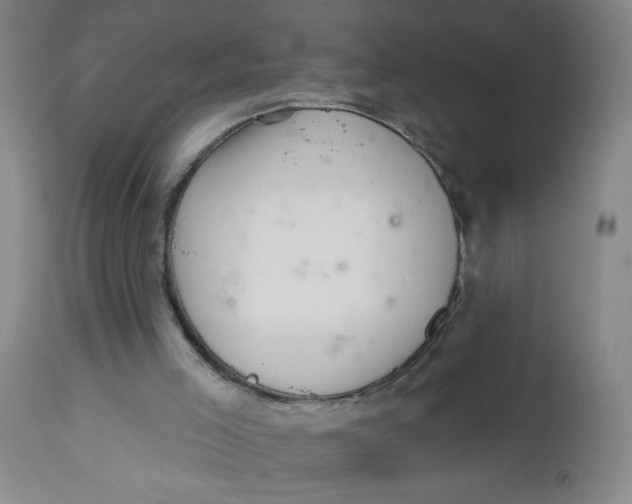 X0000112460005200909071121