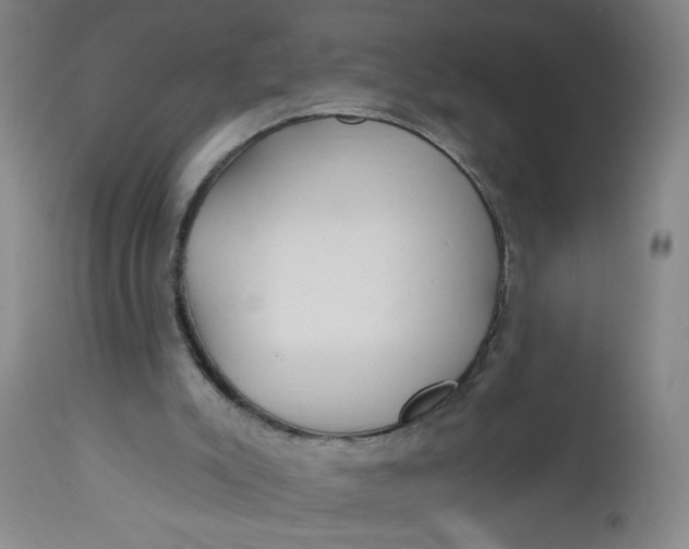 X0000112460007200909071121