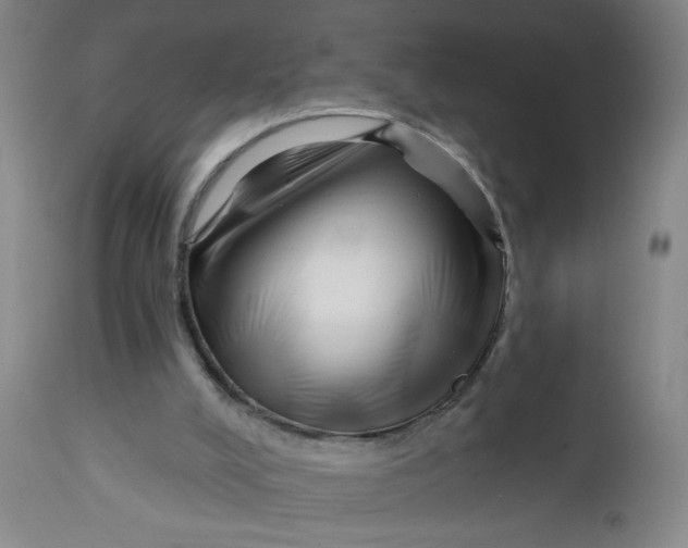 X0000112460008200909071121