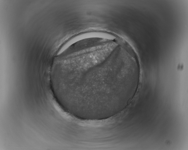 X0000112460009200909071121