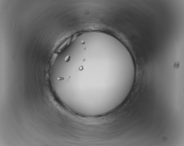 X0000112460010200909071121