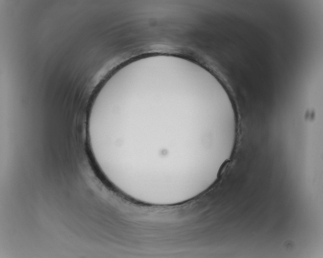 X0000112460011200909071121