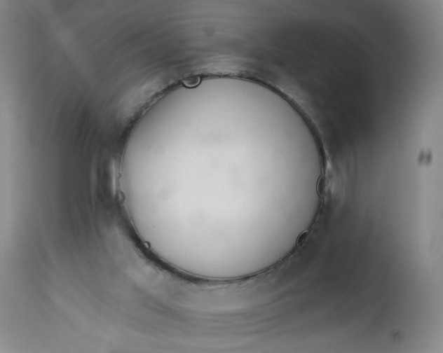 X0000112460013200909071121