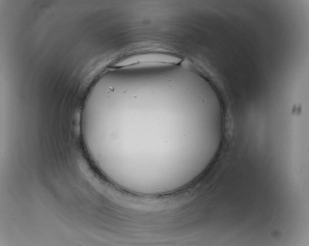 X0000112460014200909071121