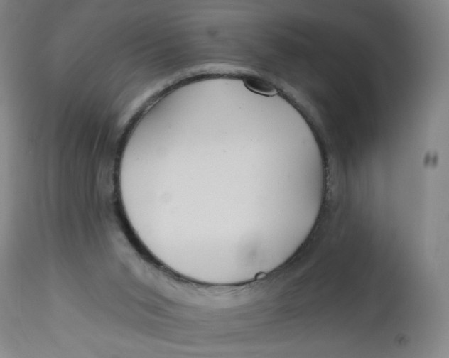 X0000112460015200909071121