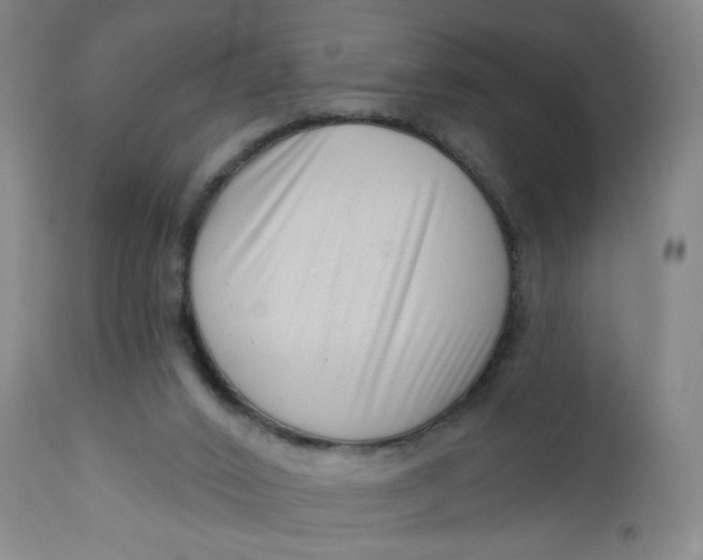 X0000112460016200909071121