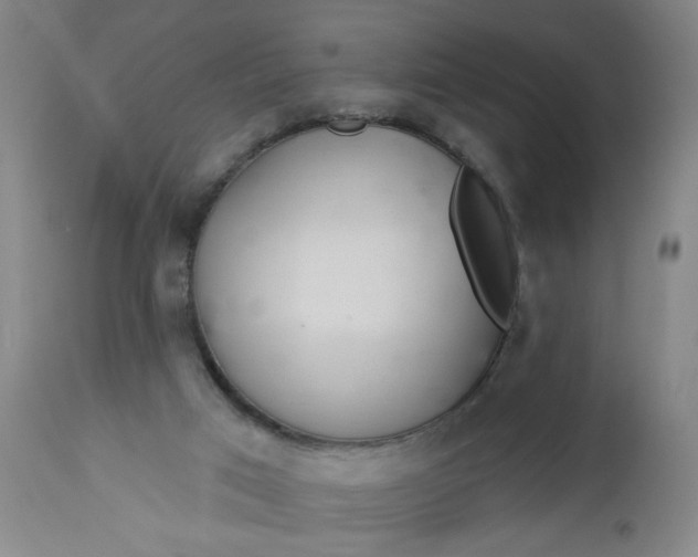 X0000112460017200909071121