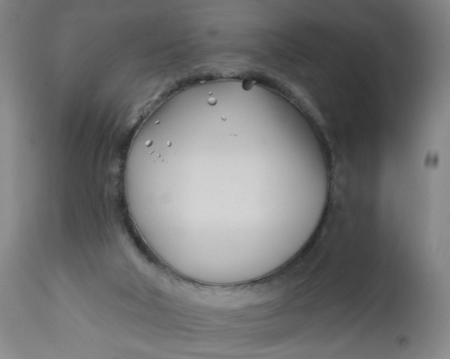 X0000112460018200909071121
