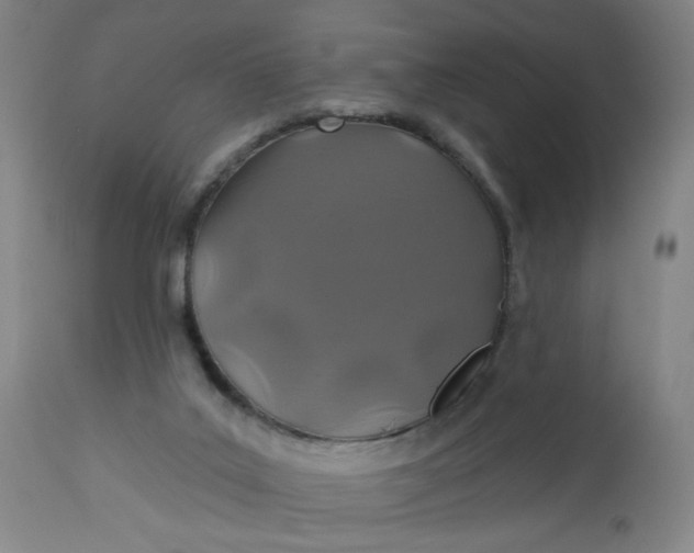 X0000112460019200909071121