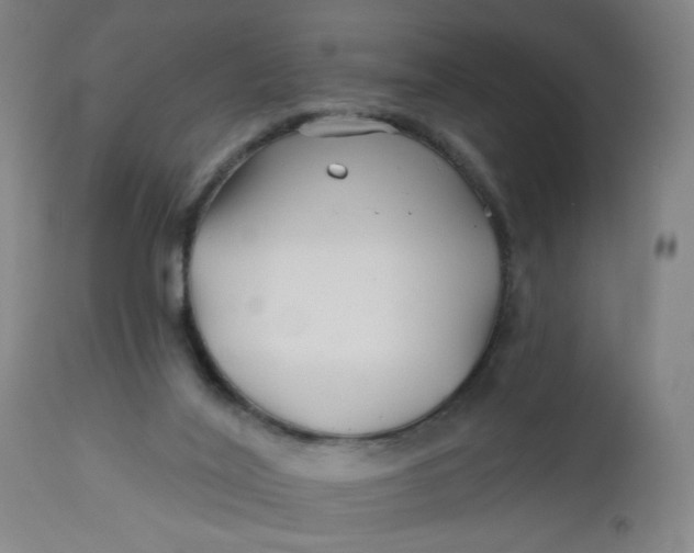 X0000112460020200909071121