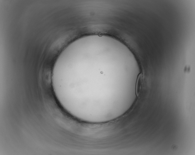 X0000112460021200909071121