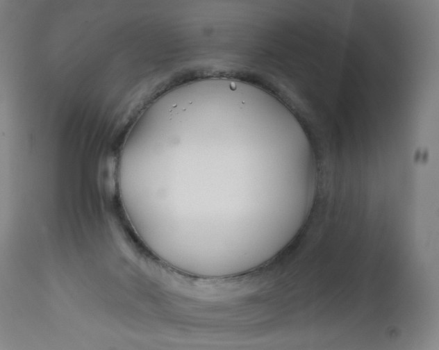 X0000112460022200909071120