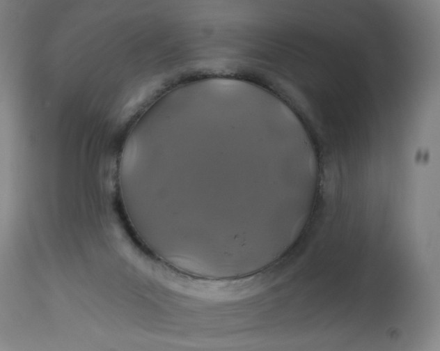 X0000112460023200909071120