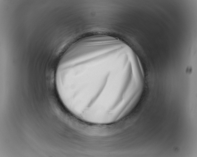 X0000112460024200909071120
