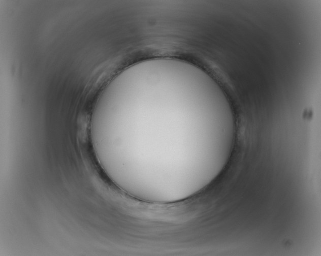 X0000112460026200909071120