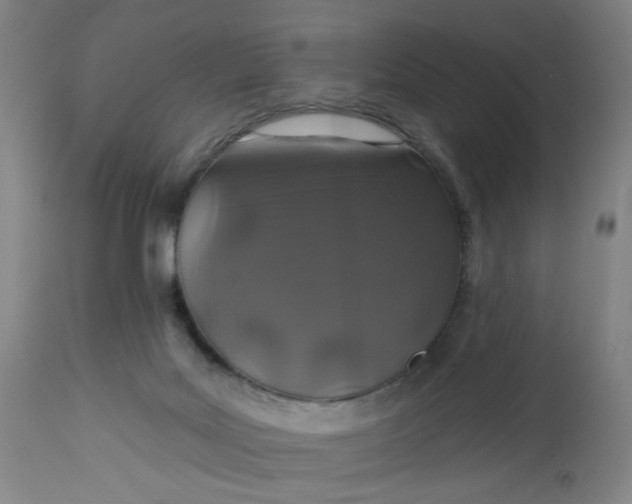 X0000112460027200909071120