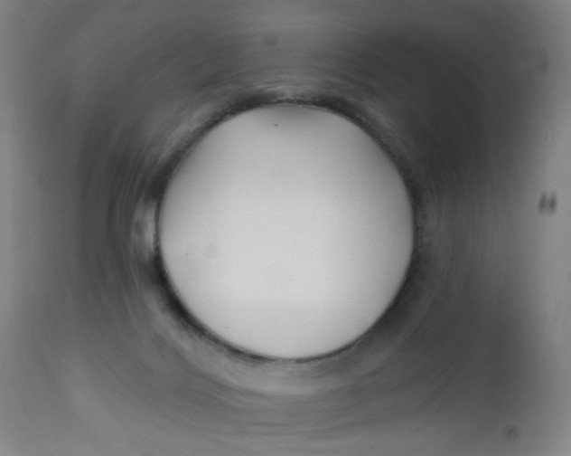 X0000112460028200909071120