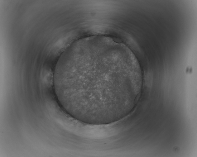 X0000112460029200909071120