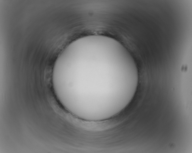 X0000112460030200909071120