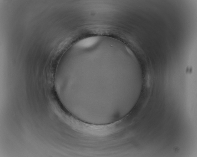 X0000112460031200909071120