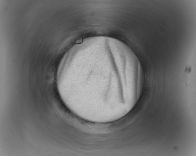 X0000112460032200909071120