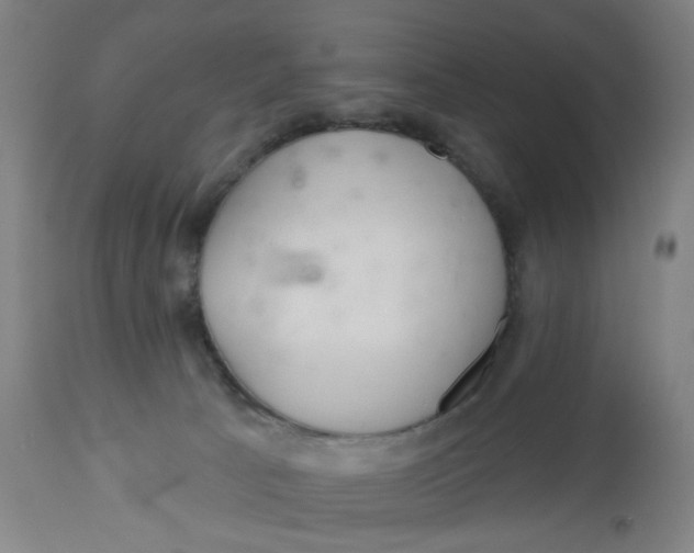 X0000112460033200909071120
