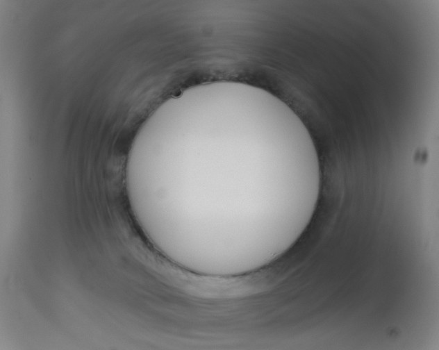 X0000112460034200909071120