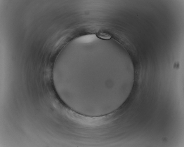 X0000112460035200909071120