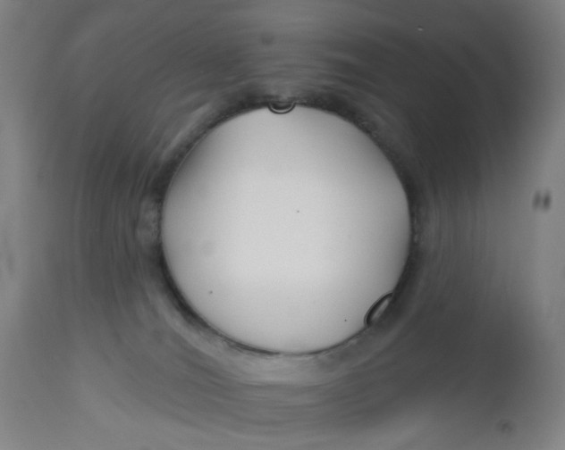 X0000112460036200909071120